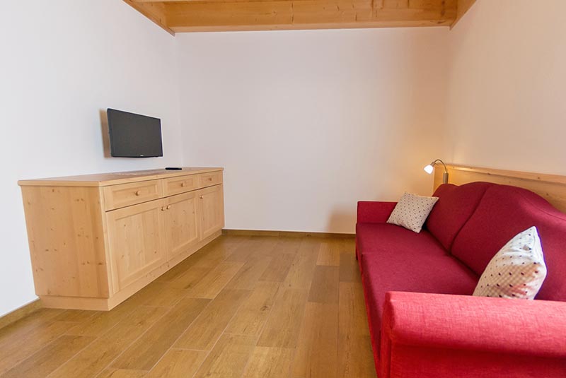 Living room with TV - apartment Panzenbachhof